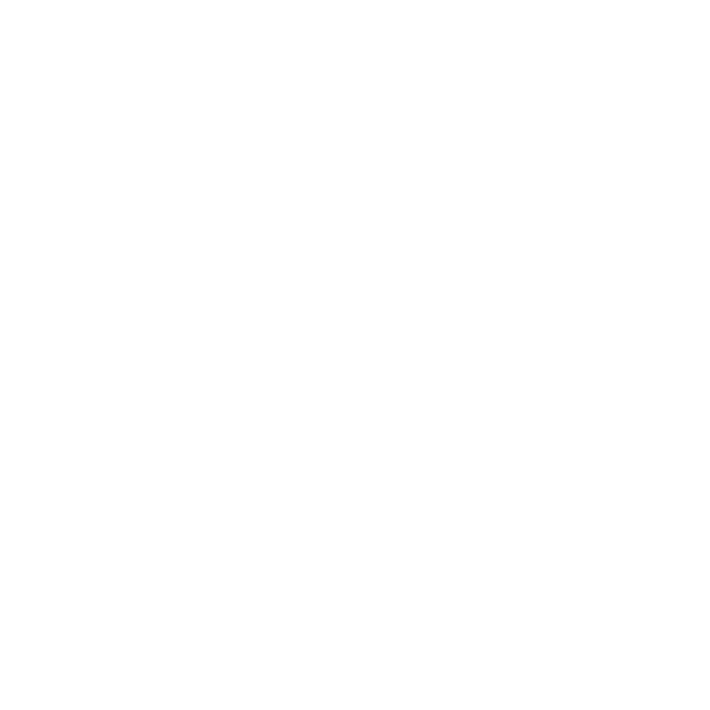 Fast Lightning icon