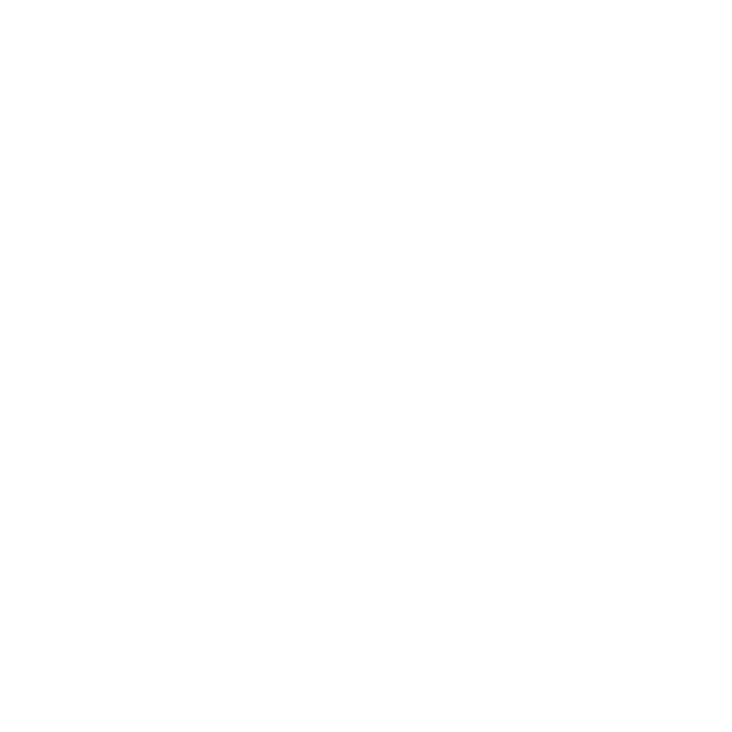 digital Identity verification icon